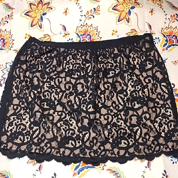 Ann Taylor LOFT Dresses & Skirts - Ann Taylor Loft Sz 16 Lace Skirt